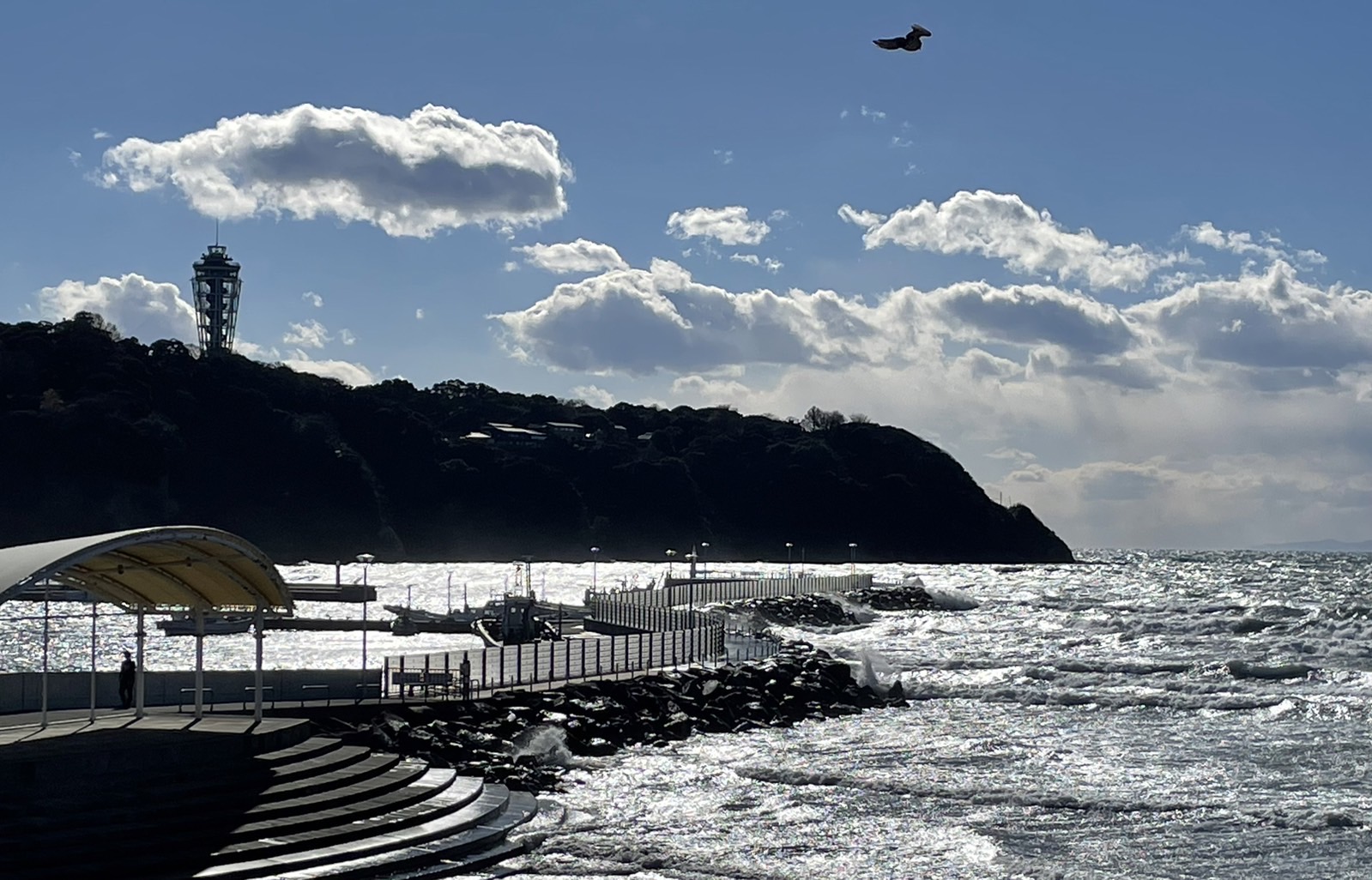 ハウス鵠沼海岸