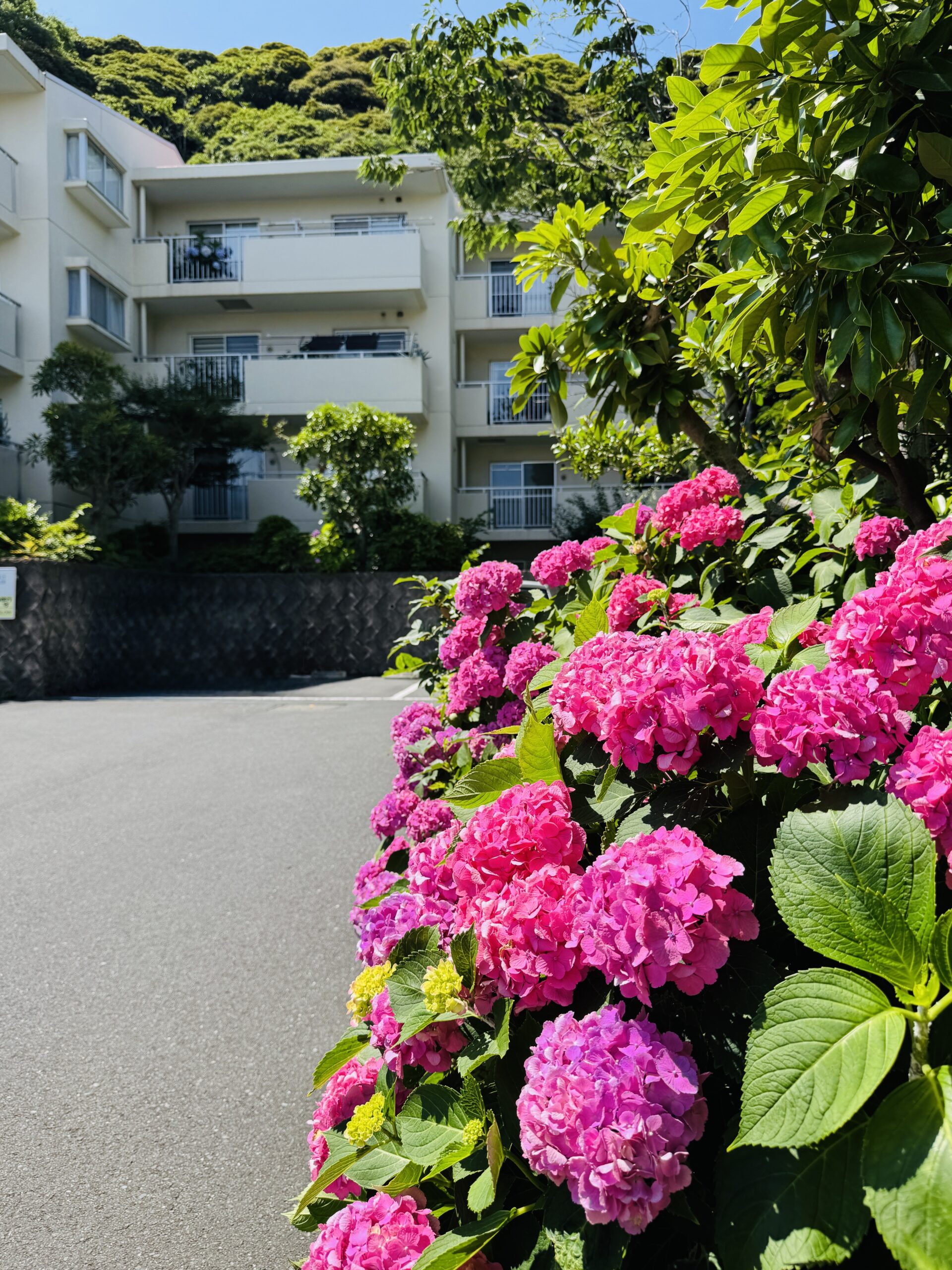 藤和ライブタウン鎌倉七里ガ浜