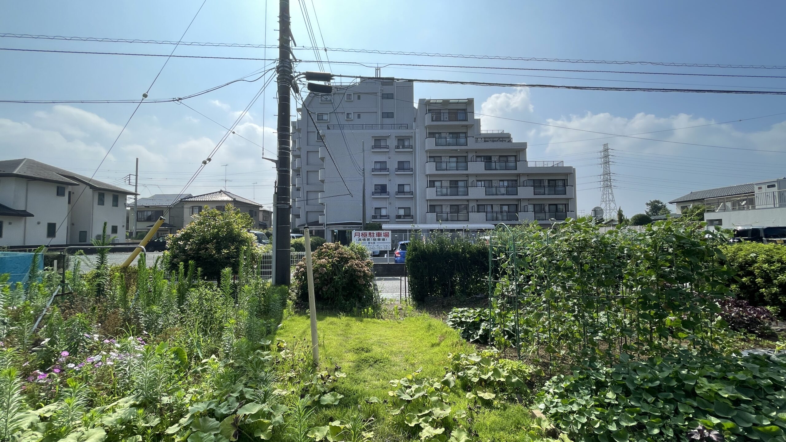 海老名市上今泉2丁目　土地