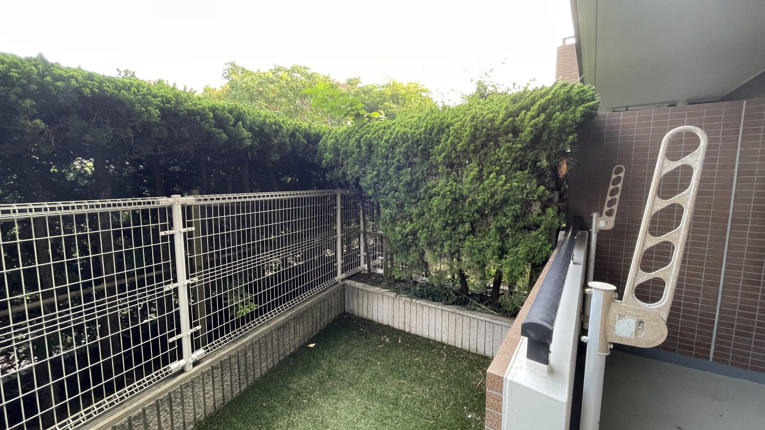 ライオンズテラス鵠沼 203号室