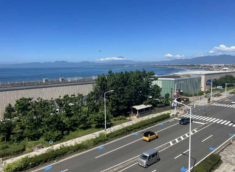 片瀬東映マンション 502号室