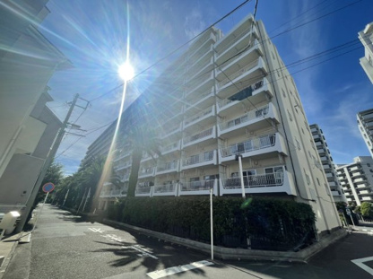 東急ドエル・フェニックス 419号室