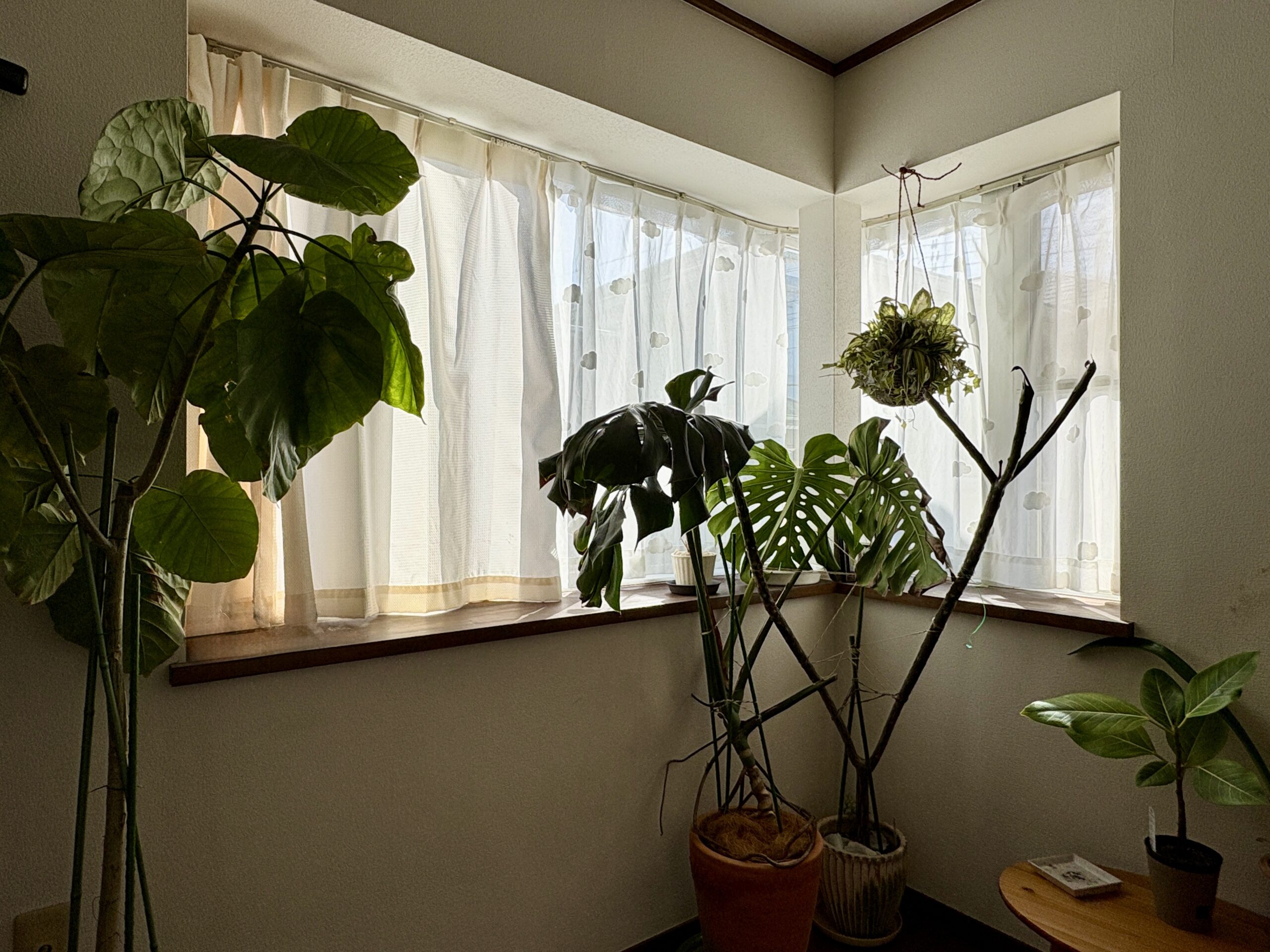 藤沢市 本藤沢２丁目の戸建