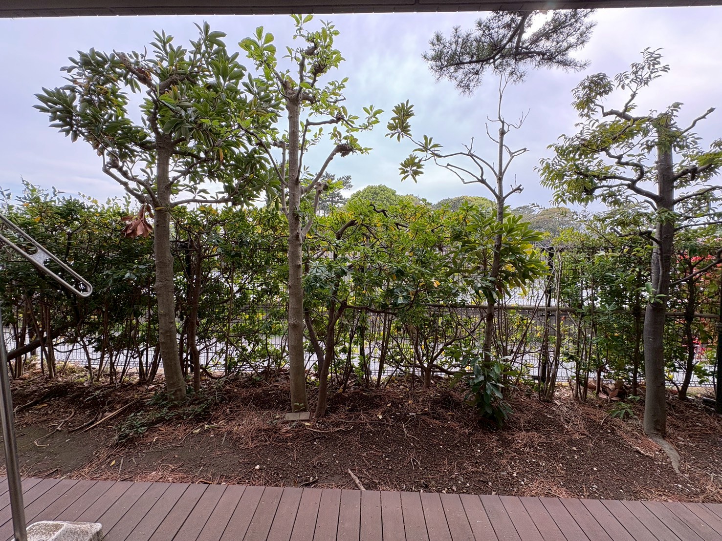 片瀬パークハウス湘南江ノ島