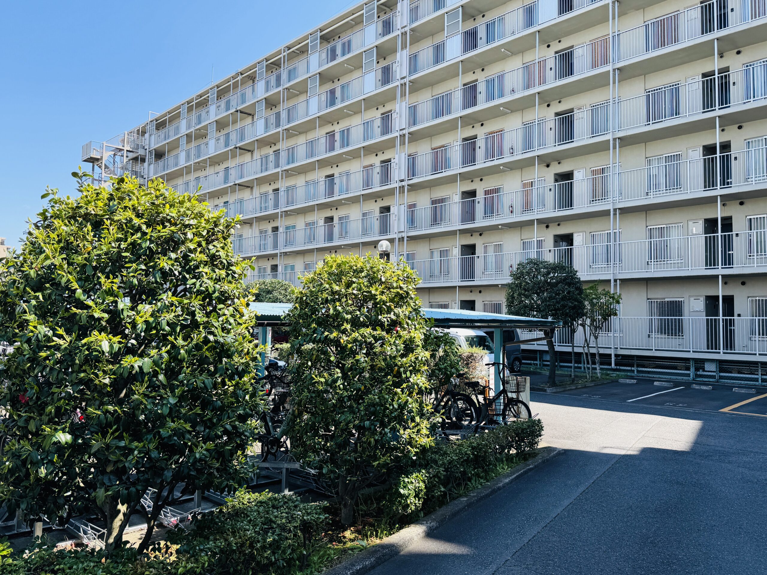 平塚スカイハイツ412号室