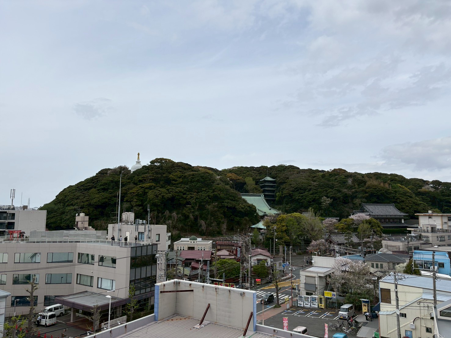 藤和江ノ島ホームズステージⅡ 405号室