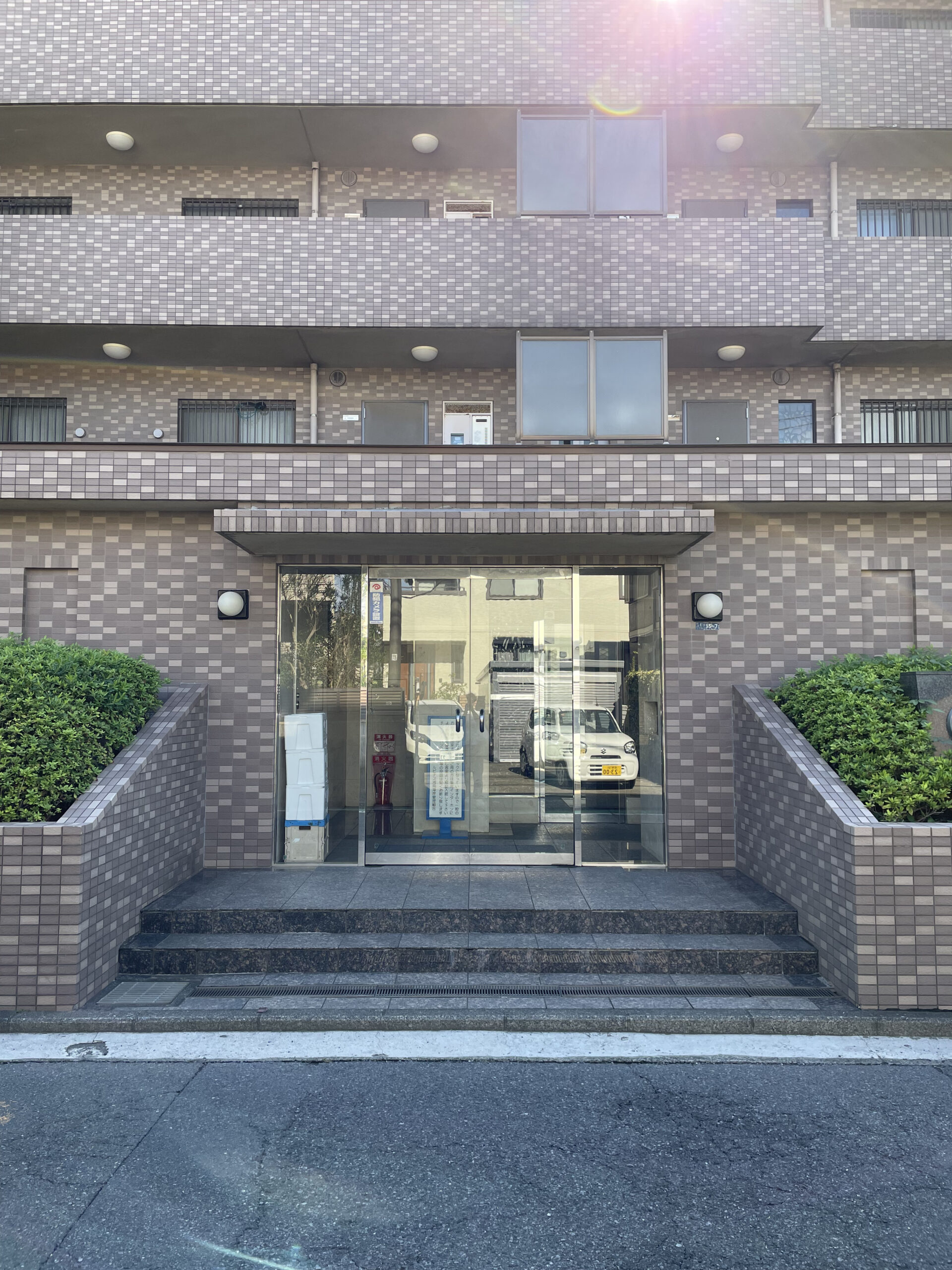 ルピナス湘南海岸102