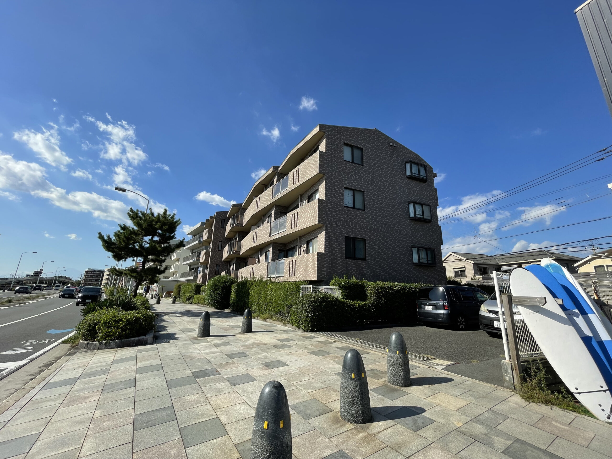 ルピナス湘南海岸102